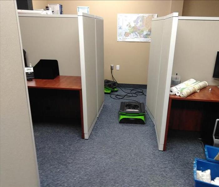 small green SERVPRO air movers (fans) placed on the floor to dry the carpet of this office.