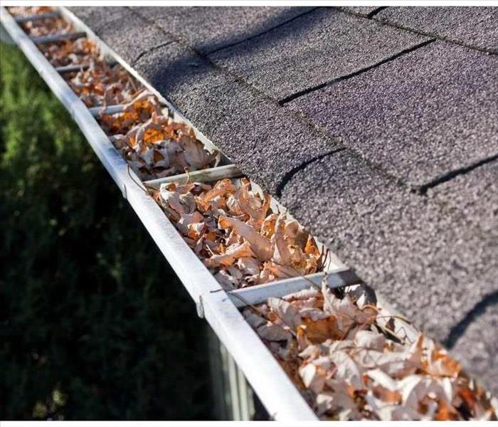 Photo of leaves clogging gutters on a roof of a house